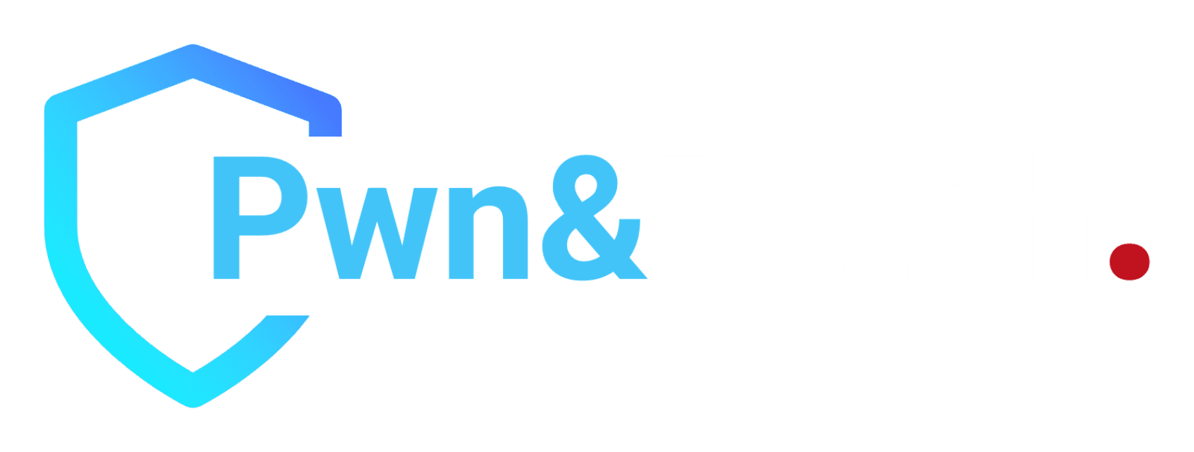 Pwn&Patch